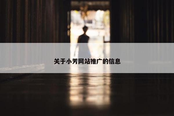 关于小芳网站推广的信息