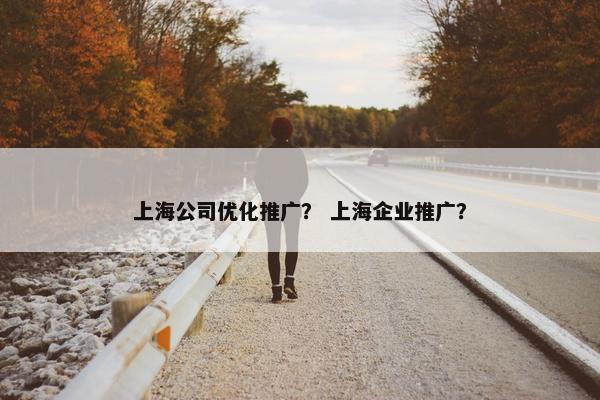 上海公司优化推广？ 上海企业推广？