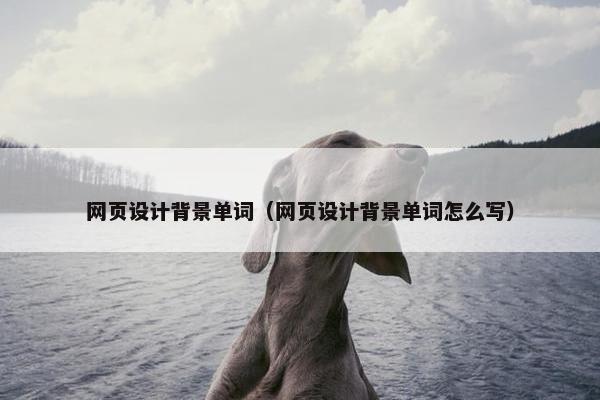 网页设计背景单词（网页设计背景单词怎么写）