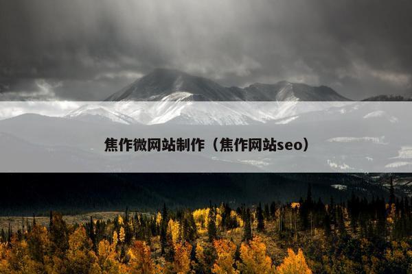 焦作微网站制作（焦作网站seo）