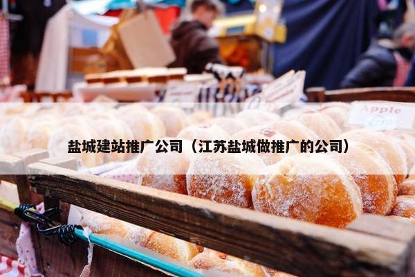 盐城建站推广公司（江苏盐城做推广的公司）