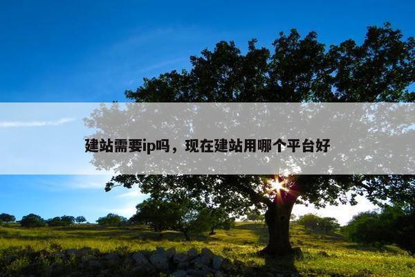 建站需要ip吗，现在建站用哪个平台好