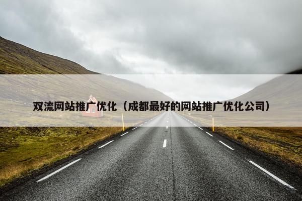 双流网站推广优化（成都最好的网站推广优化公司）