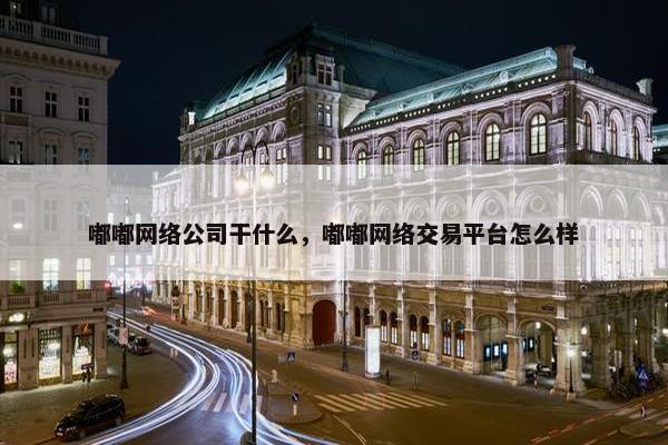 嘟嘟网络公司干什么，嘟嘟网络交易平台怎么样