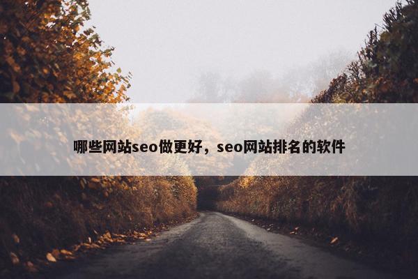 哪些网站seo做更好，seo网站排名的软件