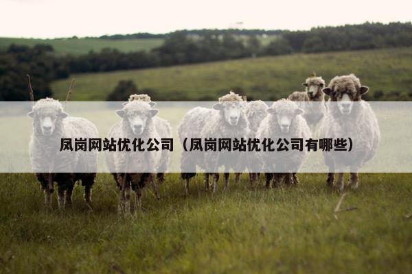 凤岗网站优化公司（凤岗网站优化公司有哪些）