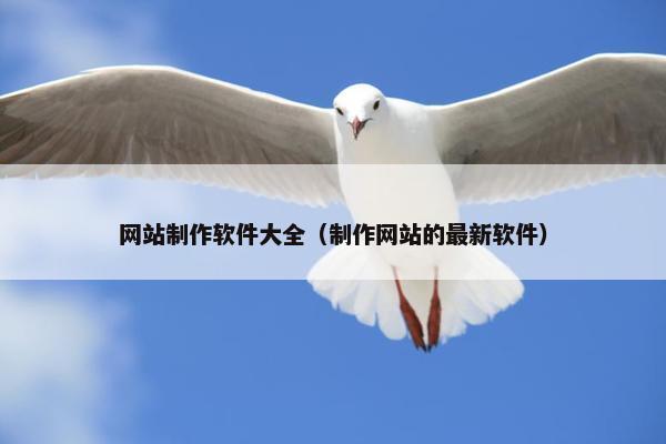 网站制作软件大全（制作网站的最新软件）