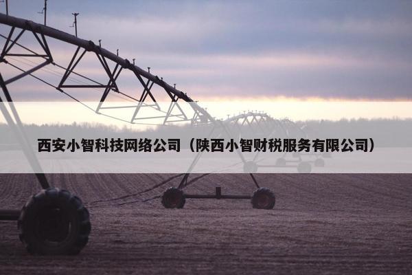 西安小智科技网络公司（陕西小智财税服务有限公司）