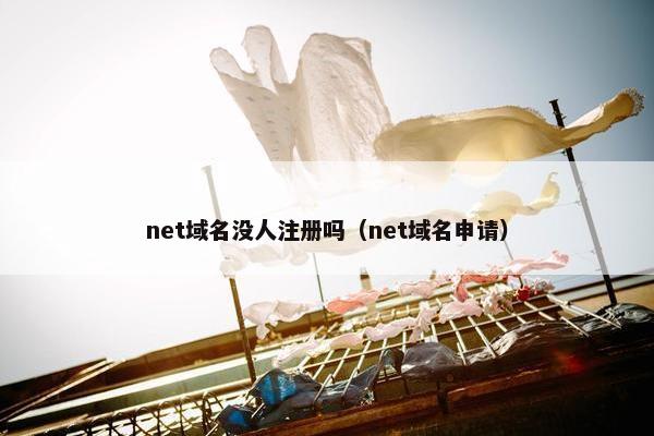 net域名没人注册吗（net域名申请）