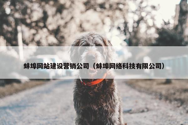 蚌埠网站建设营销公司（蚌埠网络科技有限公司）