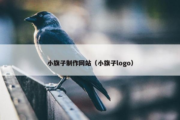 小旗子制作网站（小旗子logo）