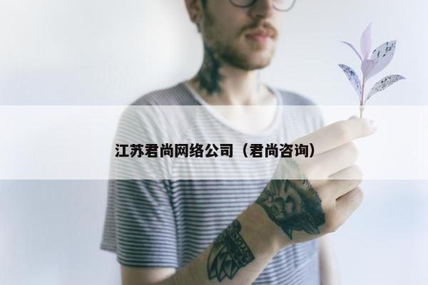 江苏君尚网络公司（君尚咨询）