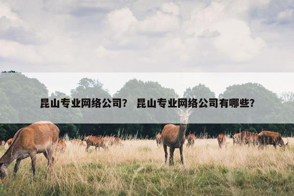 昆山专业网络公司？ 昆山专业网络公司有哪些？