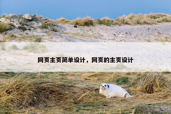 网页主页简单设计，网页的主页设计