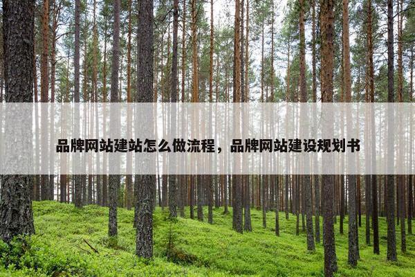 品牌网站建站怎么做流程，品牌网站建设规划书