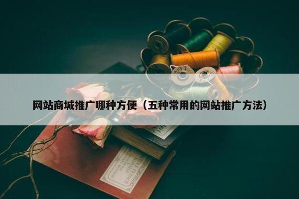 网站商城推广哪种方便（五种常用的网站推广方法）