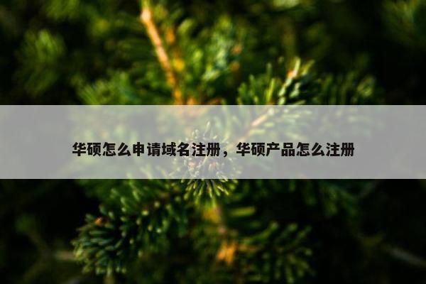 华硕怎么申请域名注册，华硕产品怎么注册