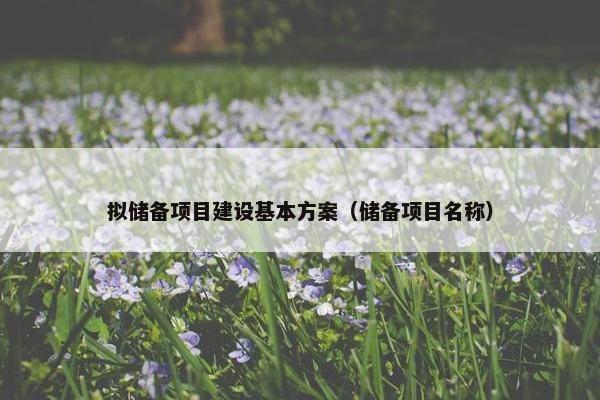 拟储备项目建设基本方案（储备项目名称）
