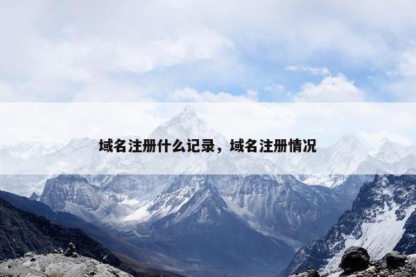 域名注册什么记录，域名注册情况