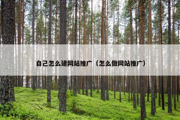 自己怎么建网站推广（怎么做网站推广）