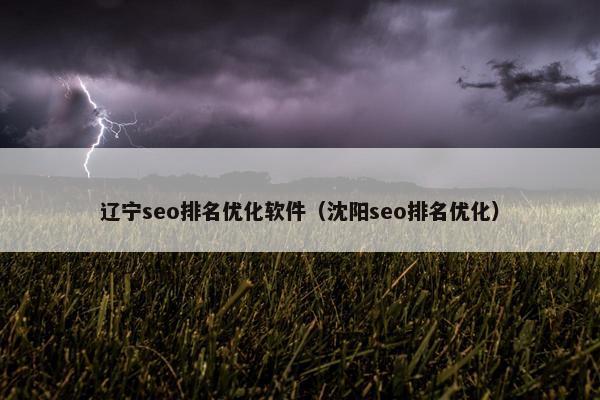 辽宁seo排名优化软件（沈阳seo排名优化）