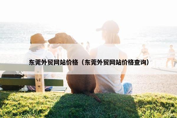 东莞外贸网站价格（东莞外贸网站价格查询）