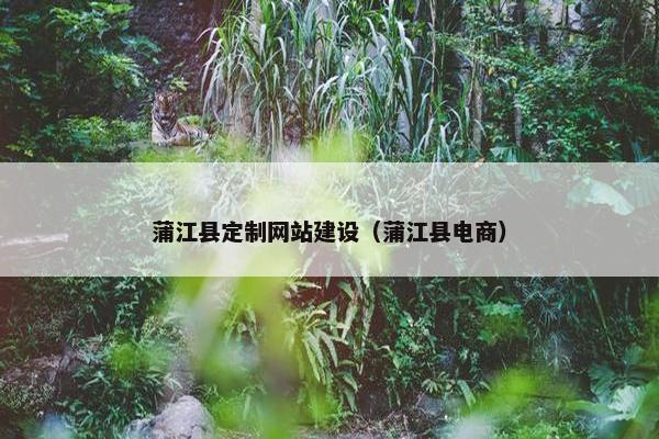 蒲江县定制网站建设（蒲江县电商）