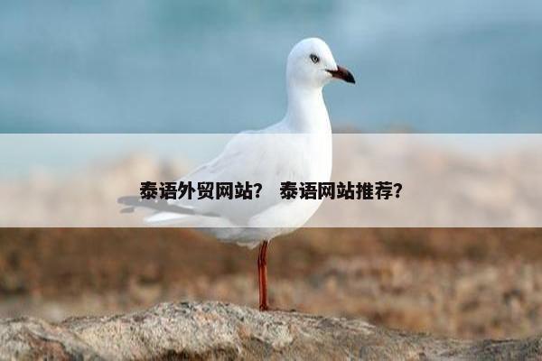 泰语外贸网站？ 泰语网站推荐？