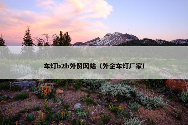 车灯b2b外贸网站（外企车灯厂家）