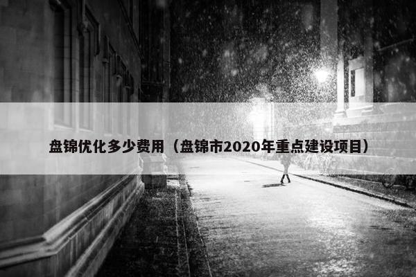 盘锦优化多少费用（盘锦市2020年重点建设项目）