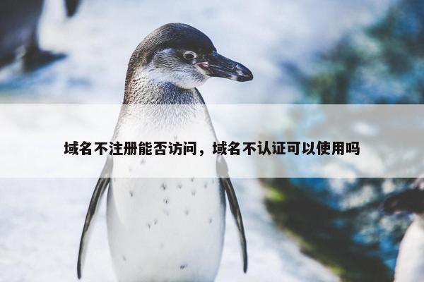 域名不注册能否访问，域名不认证可以使用吗