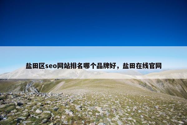 盐田区seo网站排名哪个品牌好，盐田在线官网