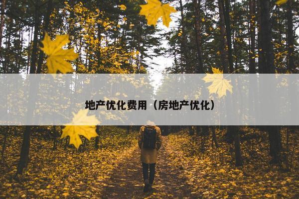 地产优化费用（房地产优化）