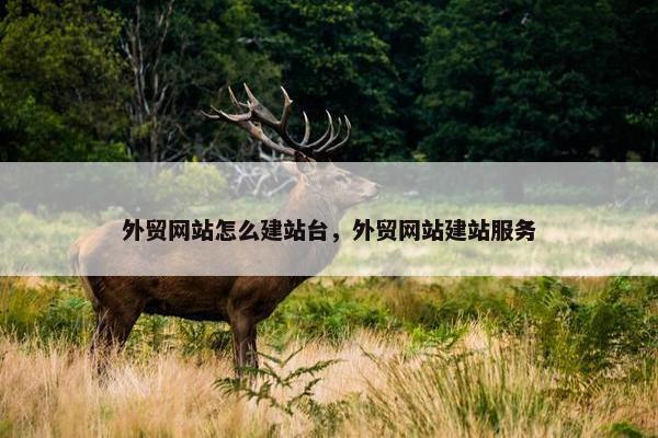 外贸网站怎么建站台，外贸网站建站服务