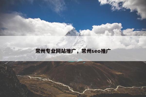 常州专业网站推广，常州seo推广
