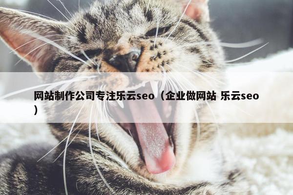 网站制作公司专注乐云seo（企业做网站 乐云seo）