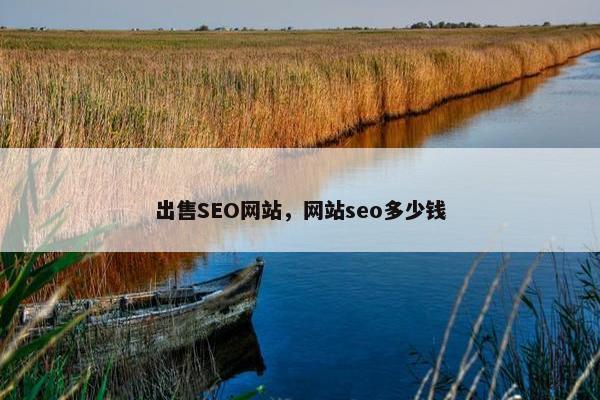 出售SEO网站，网站seo多少钱