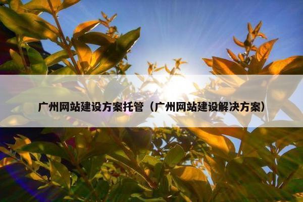 广州网站建设方案托管（广州网站建设解决方案）