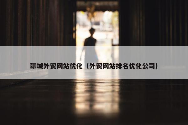 聊城外贸网站优化（外贸网站排名优化公司）