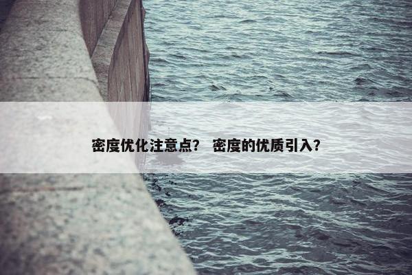 密度优化注意点？ 密度的优质引入？