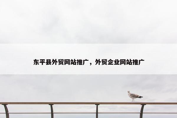 东平县外贸网站推广，外贸企业网站推广