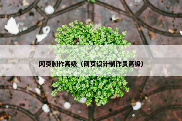 网页制作高级（网页设计制作员高级）