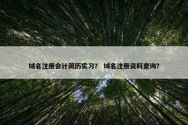 域名注册会计简历实习？ 域名注册资料查询？