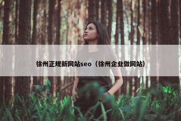 徐州正规新网站seo（徐州企业做网站）