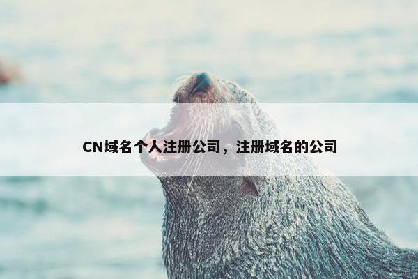CN域名个人注册公司，注册域名的公司