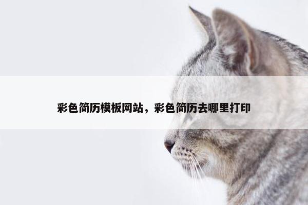 彩色简历模板网站，彩色简历去哪里打印