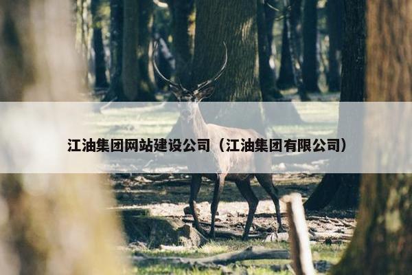 江油集团网站建设公司（江油集团有限公司）