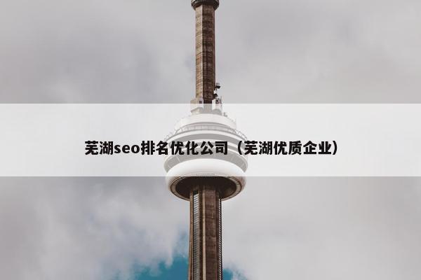 芜湖seo排名优化公司（芜湖优质企业）