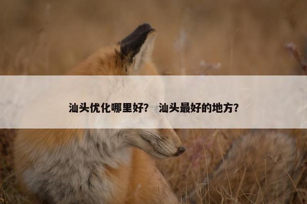 汕头优化哪里好？ 汕头最好的地方？
