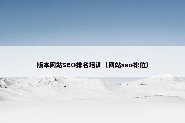 版本网站SEO排名培训（网站seo排位）